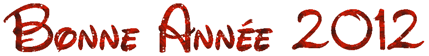 Bonne ann�e